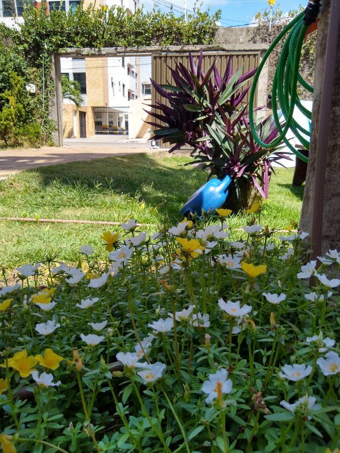 Hostel Consciente Aracaju Exterior foto
